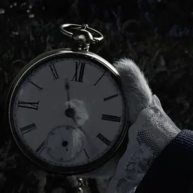 Profile image of Rabbit