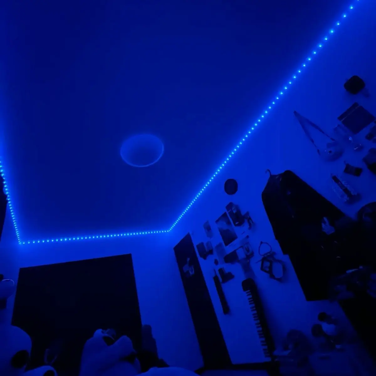 0xzre_q의 腐れ縁