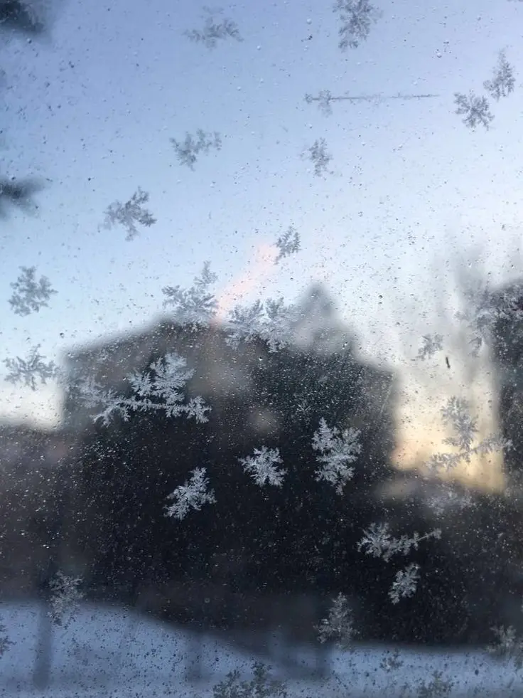 2x5_q의 かたくなに手を繋ぐ