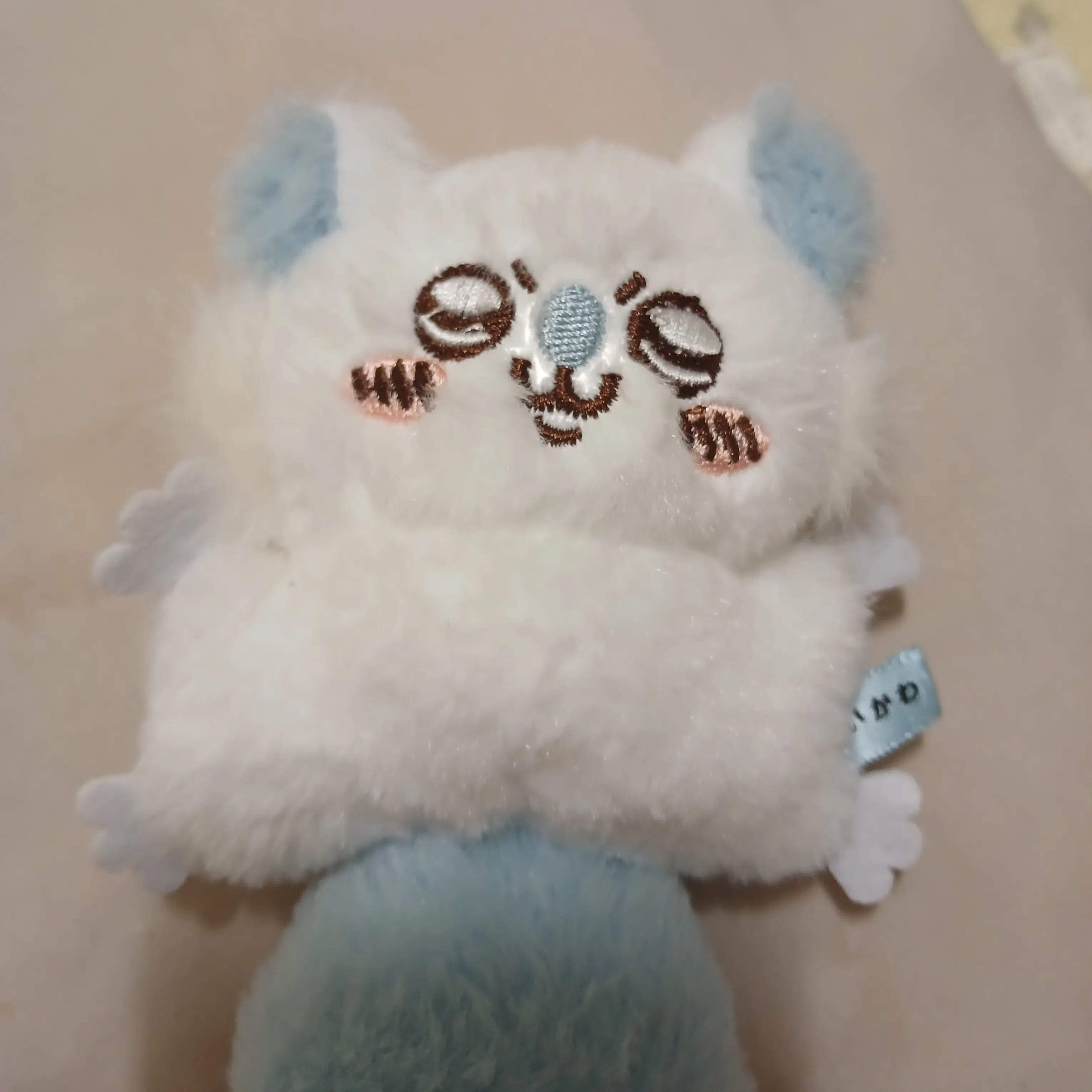 Shddjkkk의 모몽가