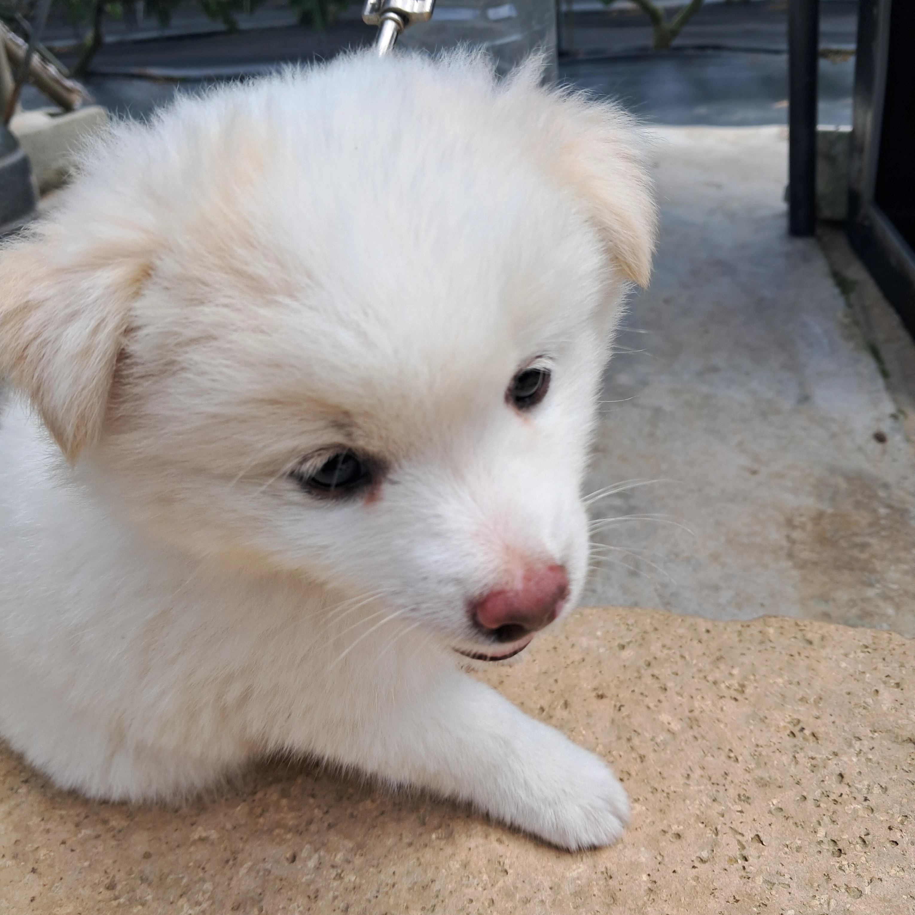 선생님