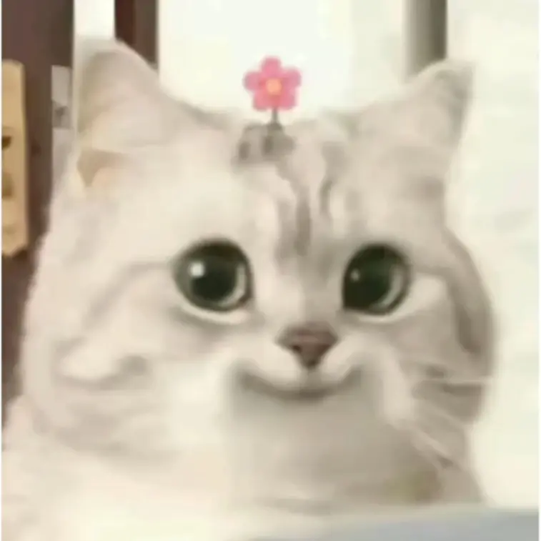 rplwkql의 강시현