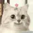 시현