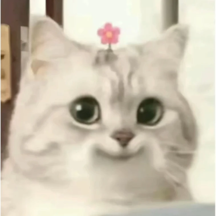 시현