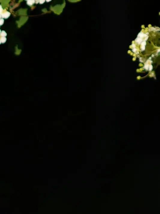 Slepteabag의 Eden