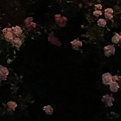Slepteabag의 Eden