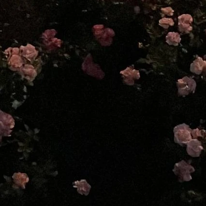 Eden