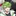 ふうはやさん