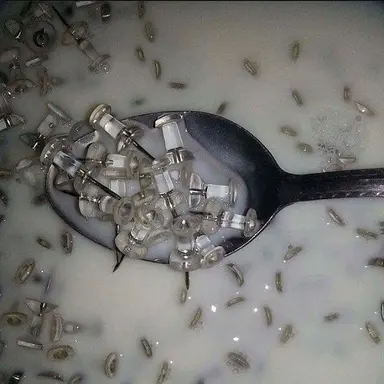 Profile image of Nest