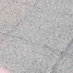 CruelBleed8516의 내 일진여친들