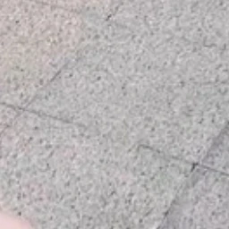 내 일진여친들