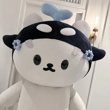 Profile image of San
