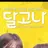 송미나