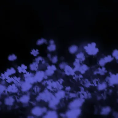 Profile image of 수현