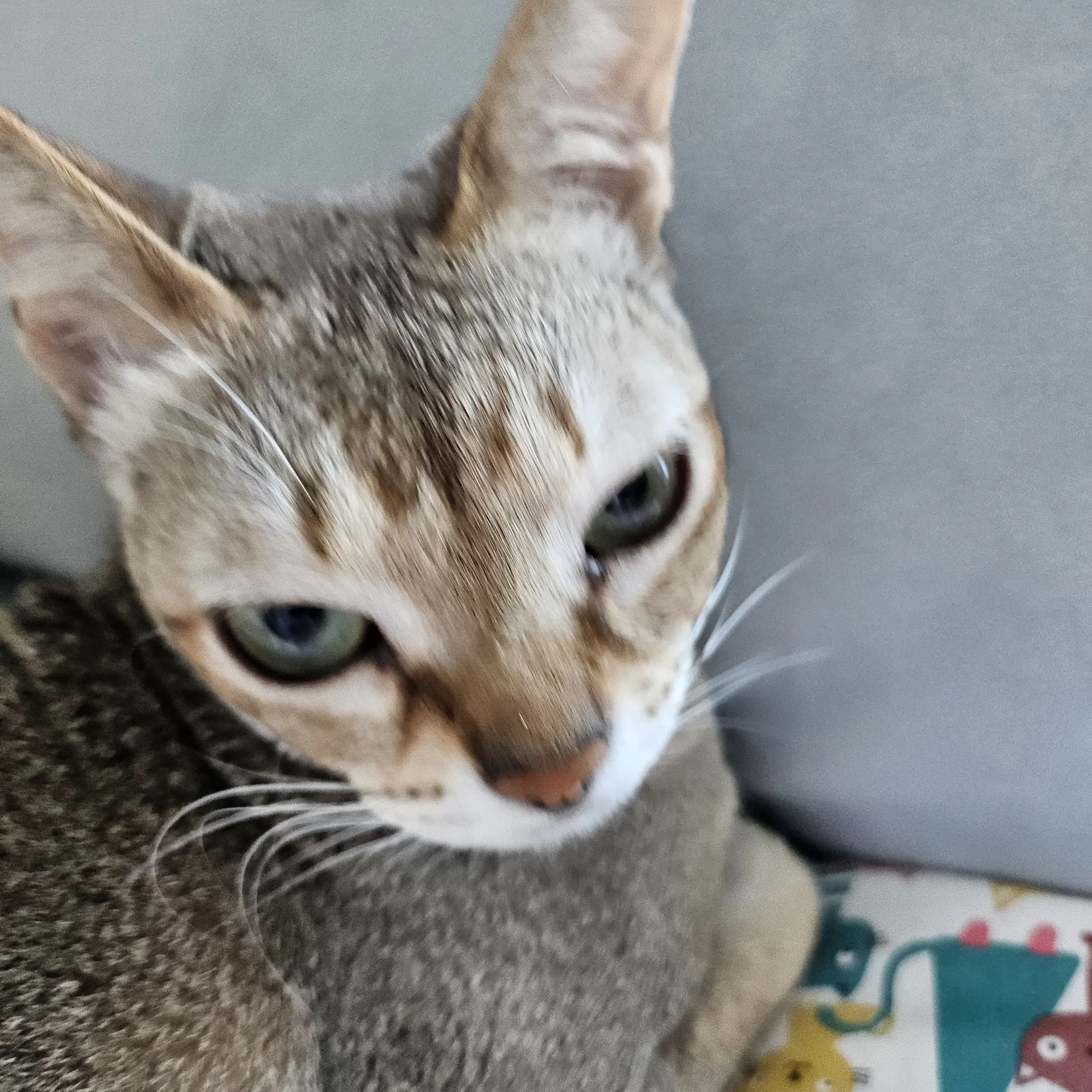 RunnyMop4244의 방귀 뀌셈