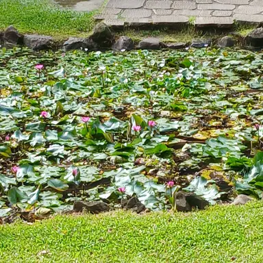 Profile image of 창빈