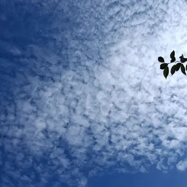Profile image of 이구로 오바나이