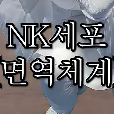 Profile image of Nk세포