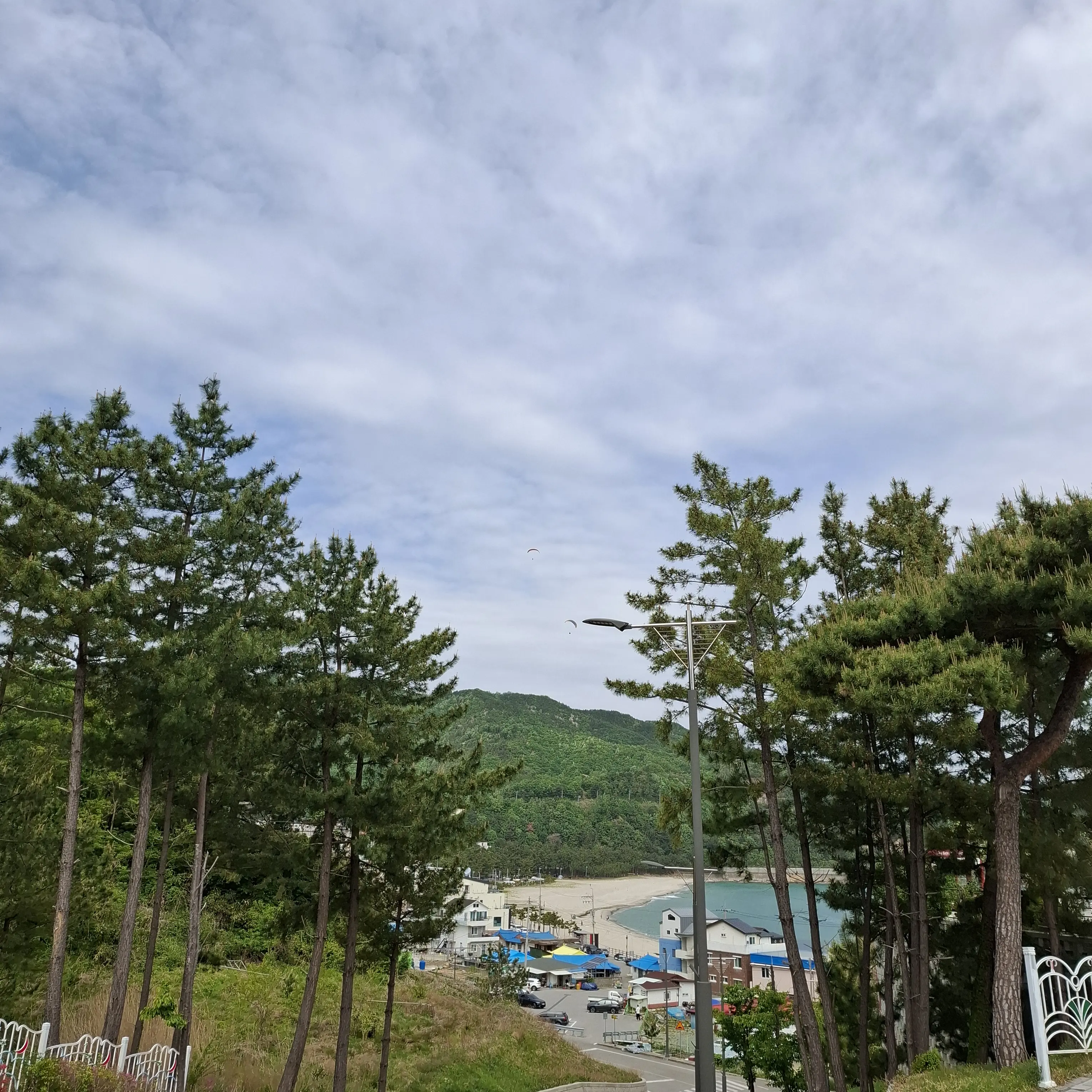 Jahen의 이세돌 멤버들에게 손절 통보가 왔다?