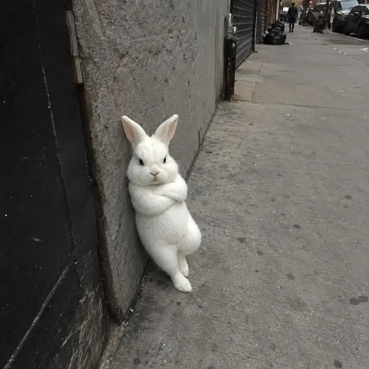 Mood.의 미워 밉구나!