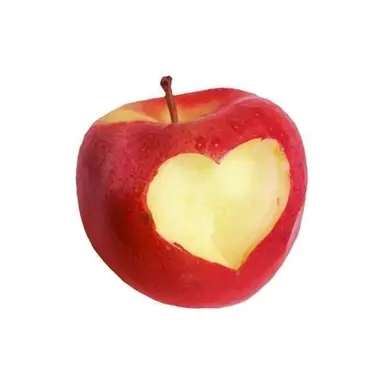 Profile image of 동영배