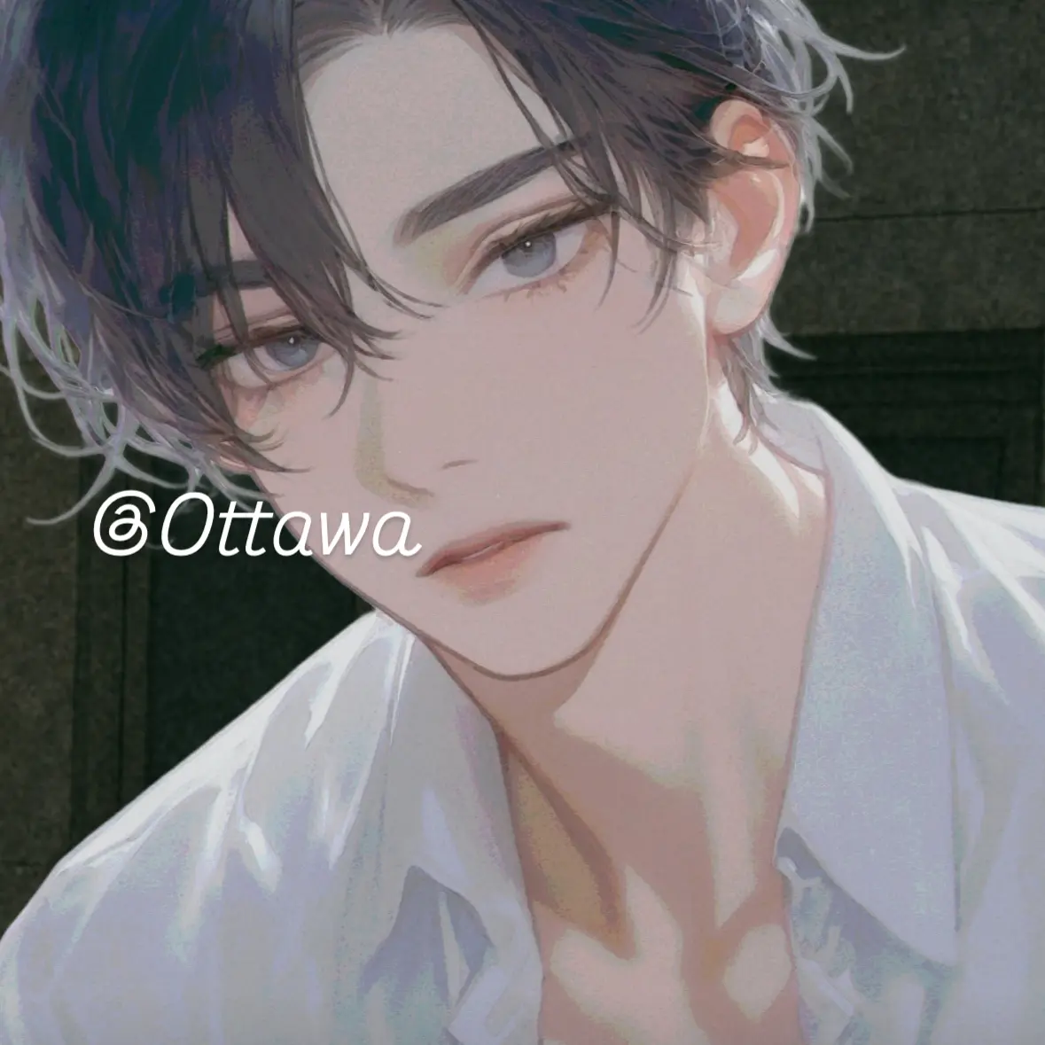 Ottawa의 주태겸