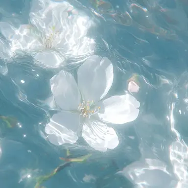 Profile image of 파이브