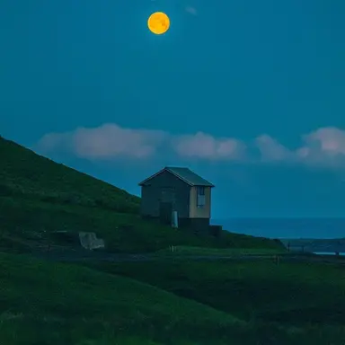 Profile image of 티푸