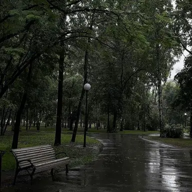 Profile image of 우융