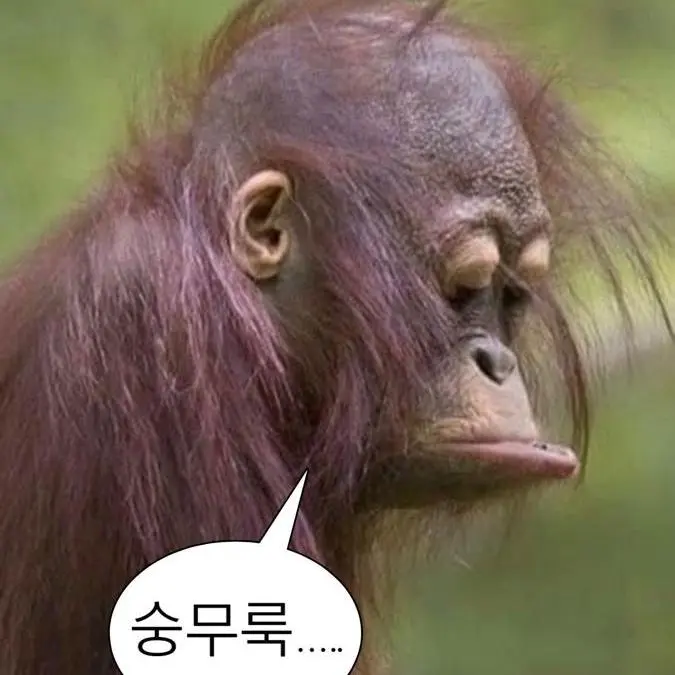 FreshFlute3715의 김영은