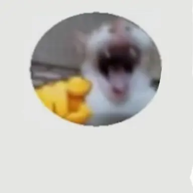 Profile image of 꼴좋다냥