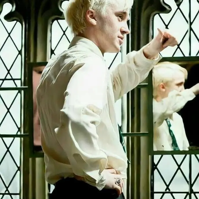 EvenChili3787의 Draco L. Malfoy