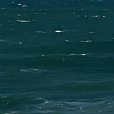 Profile image of マネージャー田中
