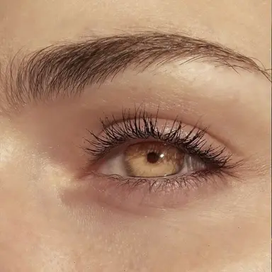 Profile image of Evelynn