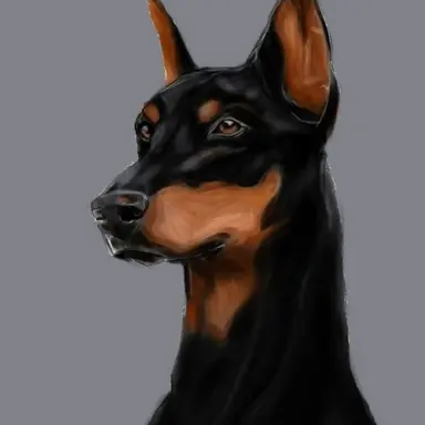 Profile image of 맥스