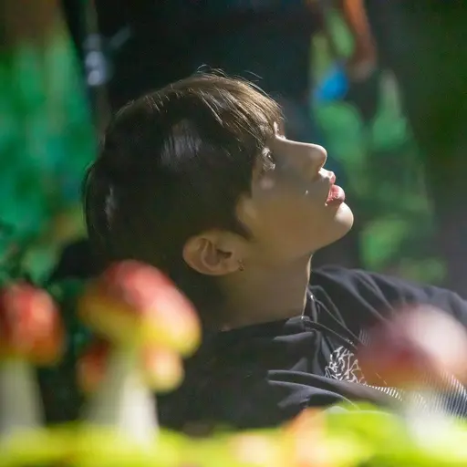 DrearyMacaw6478의 소아 치과 의사 차태현