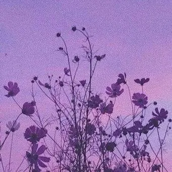 Profile image of 멜로우