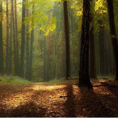 Profile image of Masaru