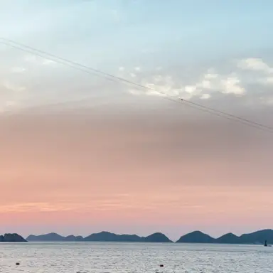 Profile image of 정하린