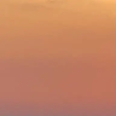 Profile image of 。
