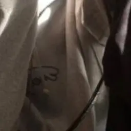 Profile image of 向井康二