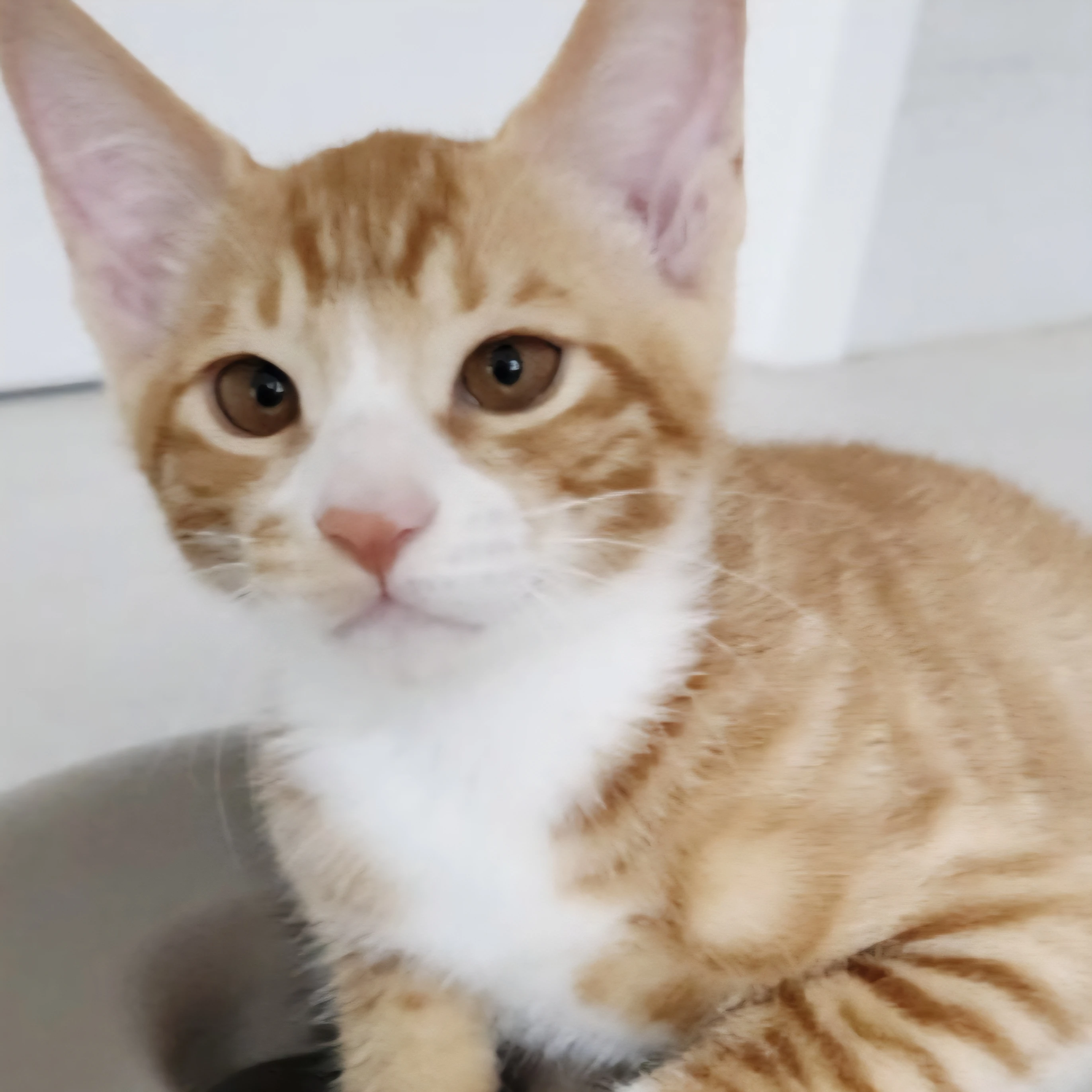 달