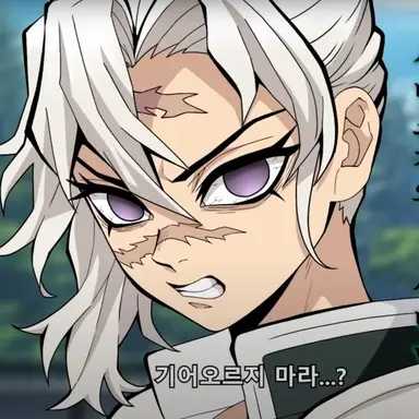 Profile image of Sanemi Shinazugawa