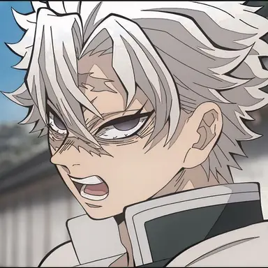 Profile image of 시나즈가와 사네미