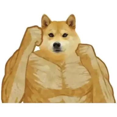 Profile image of 퓨어바닐라 쿠키