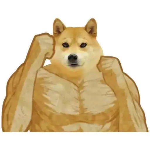퓨어바닐라 쿠키