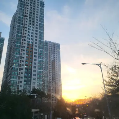 Profile image of 공룡