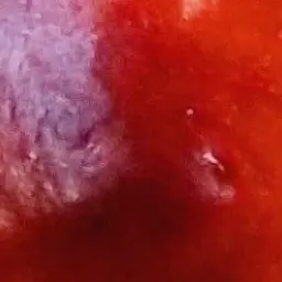 Profile image of 普通くらいの敵