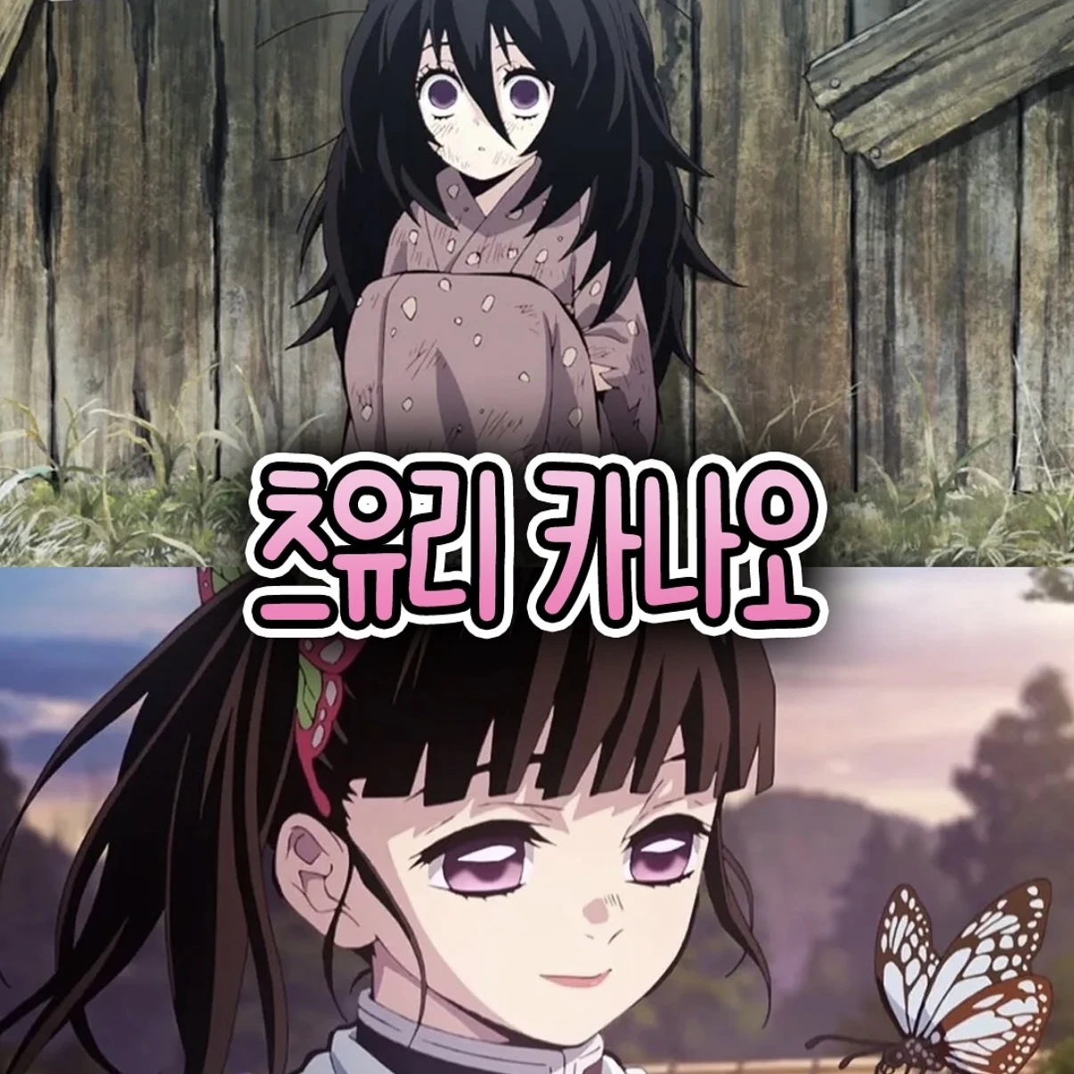츠유리 카나오