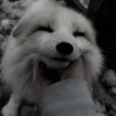 Profile image of 황수현